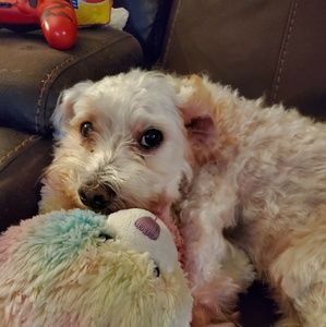 Meet your Posher, Denise